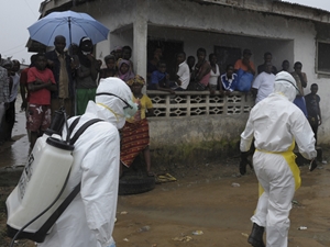 Pamuk ve kakaoya ebola darbesi