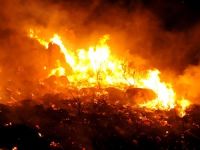 Bodrum'da orman yangını södürüldü
